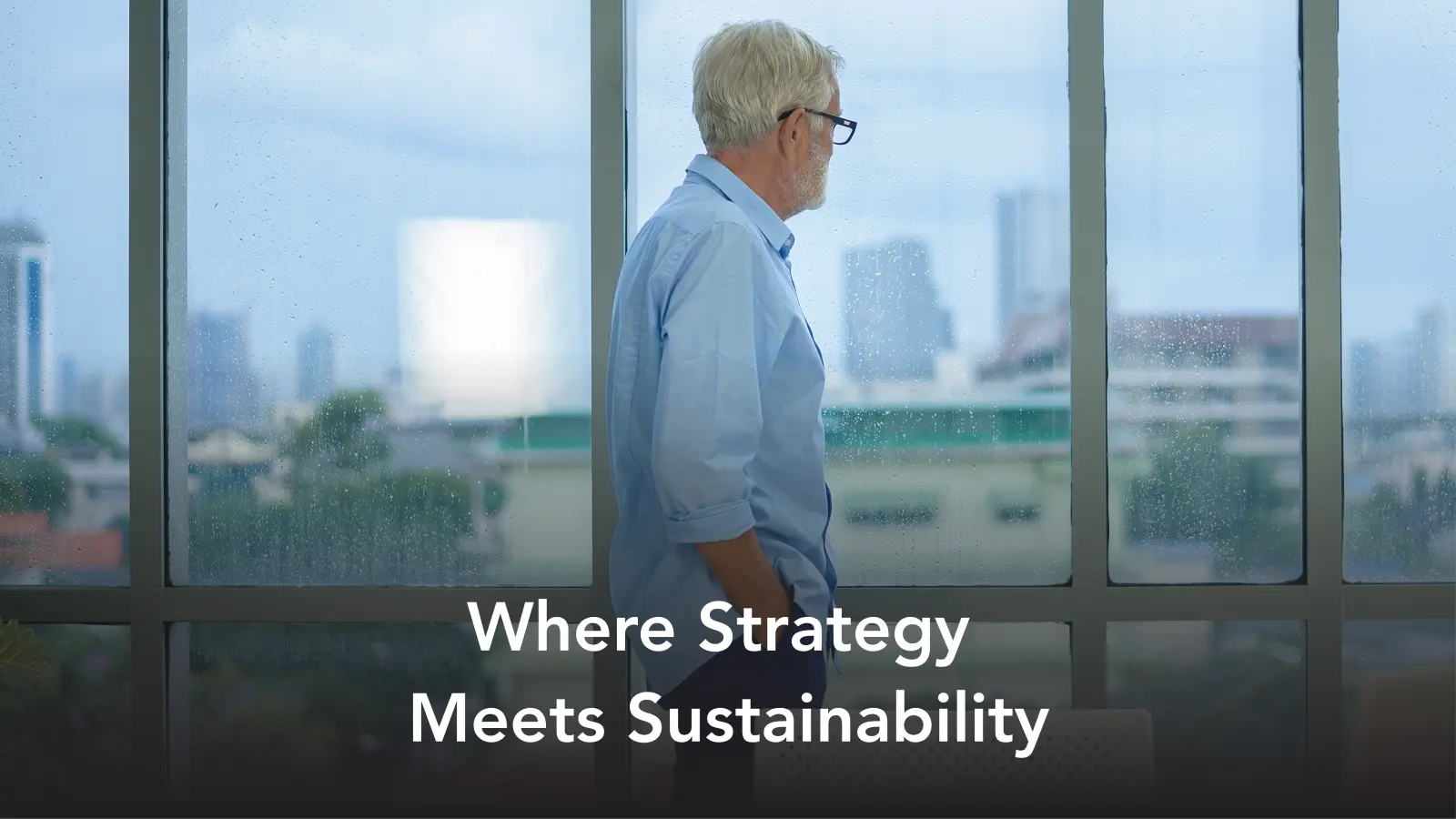 Sustainable Leadership_ Strategies for Long-Term Success