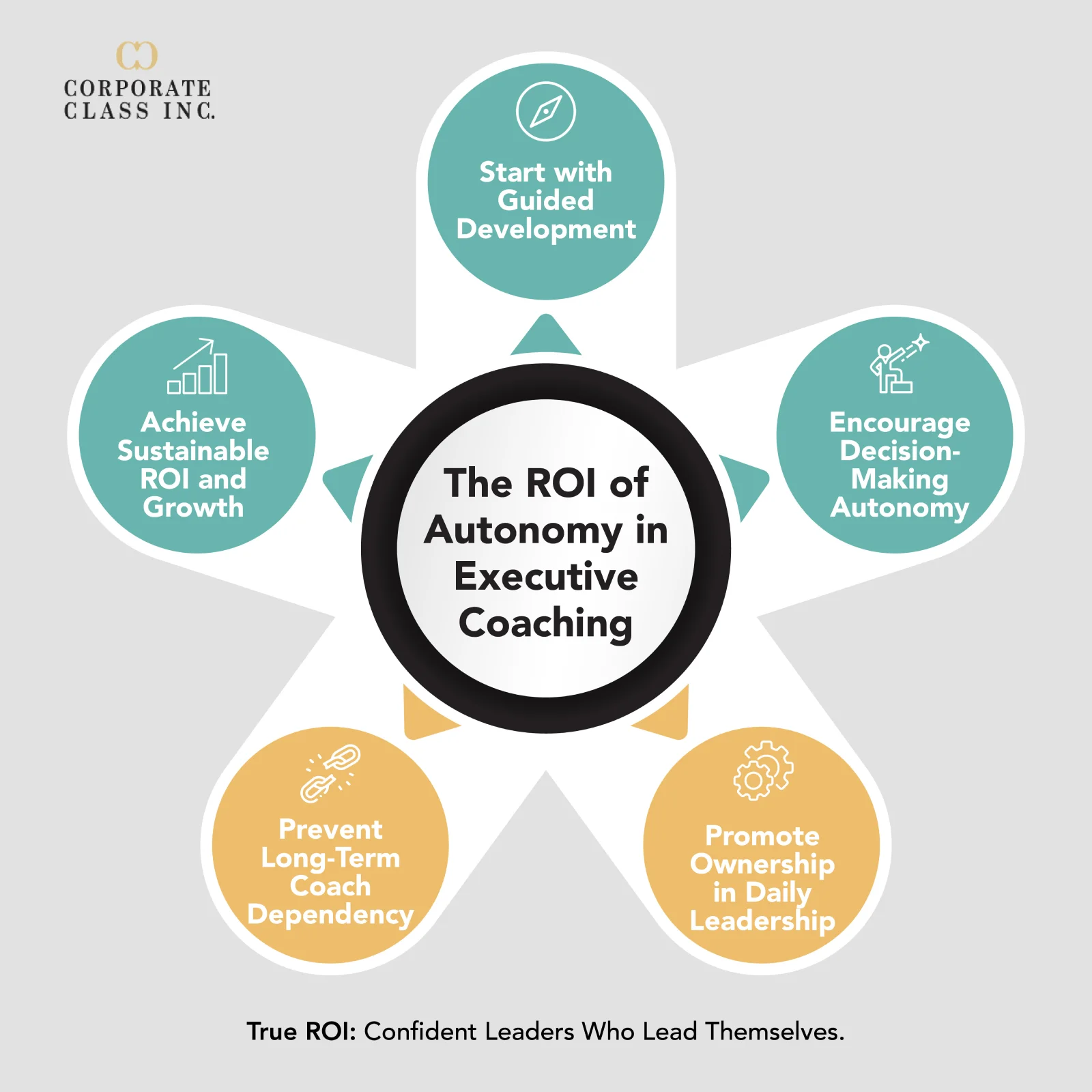 The ROI of Autonomy in Executive Coaching